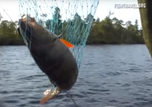 Рыбалка видео часть 2. Таежные озера Томской области